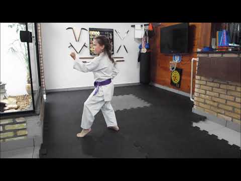 Dudu Fuchs Jr. Kihon Kata Ni Shorin Ryu Karate