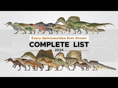 Every Spinosaurid, explained.
