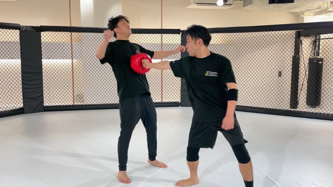 ジークンドー石井東吾先生のワンインチパンチは本当に効くのか