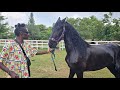 Life At Marwa APPALOOSAS Stud KENYA AFRICA