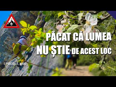 Escalada Sportiva la Cetea