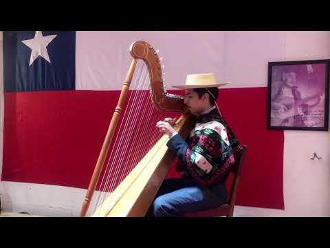 Claudio Constanzo homenajea a Vicente Bianchi