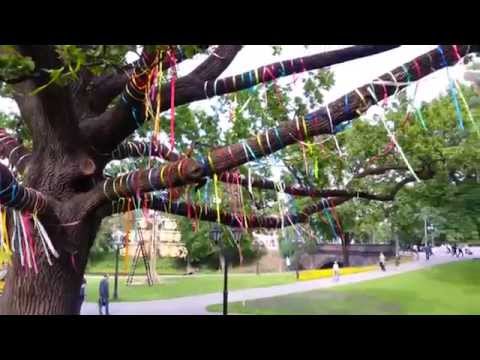 Riga, Latvia - Decorated Oak in Bastejkalna Parks | 라트비아 리가