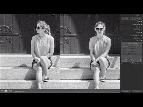 Adobe Lightroom Film Grain vs Real Film Grain from Kodak TMax100