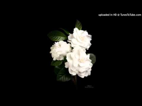 Today's Tango Is... Gardenias - Juan D'Arienzo 27-08-1968