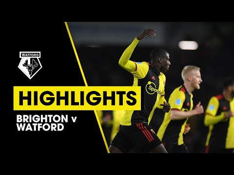 FC Brighton & Hove Albion 1-1 FC Watford 