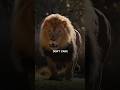 Don T Care Lion Attitude Status Whatsapp Status Shorts Motivation Viral