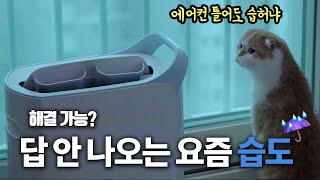 동영상 썸네일