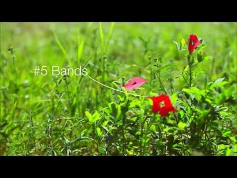 27.07.13 - 5 Bands - ein Park in Köln...