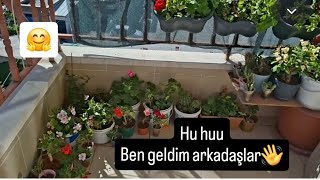 Ben geldim Balkonumdaki ve evimdeki çiçekler sizlerle #keşfet #çiçek 