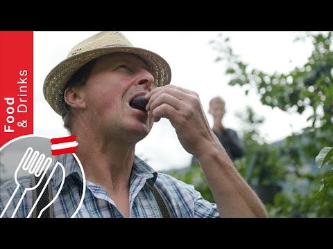 Die Giggus Brennerei: Scharfes Wasser statt Schnaps aus Stanz in Tirol
