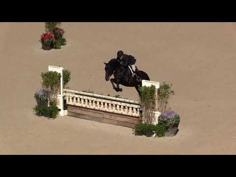 Winning Round: Grand Hunter Champions Scott Stewart and Charlemagne at 2021 WIHS