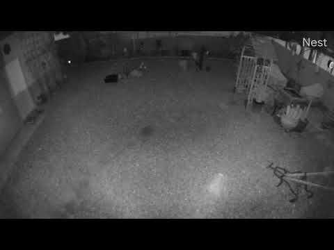 Car Wreck 4.22.22 0306am