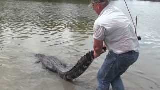 preview picture of video 'Janik Alligators'