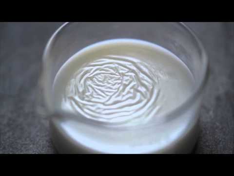 Vídeo: Separando os compoñentes do leite