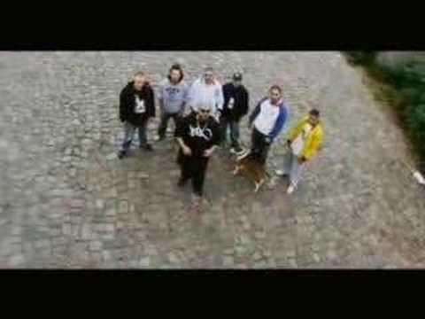 haval wo steine hageln