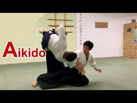 Beautiful Aikido -  Flow of energy SHIRAKAWA RYUJI shihan