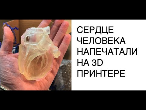 Полноразмерное сердце напечатали на 3D принтере: новости науки технологии будущего