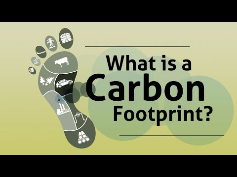What is a Carbon Footprint?