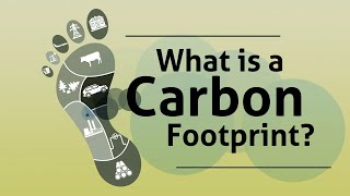 What is a Carbon Footprint