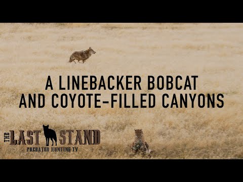 A Linebacker Bobcat and Coyote-Filled Canyons | The Last Stand S3:E3 | Western Nebraska