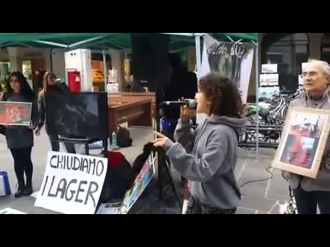 Pulcini di Passirano