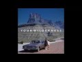 The Pineapple Thief - In Exile
