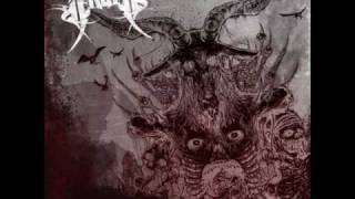 Arsis - Sick Perfection