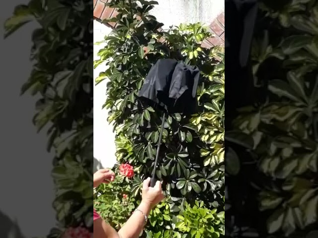 Vídeo relacionado con Grupo Erik Paraguas Los Simpsons - Paraguas Pequeño Plegable Automatico para Niños y Adultos, 100 x 57cm | Simpsons Regalo Original para Mujer y Hombre