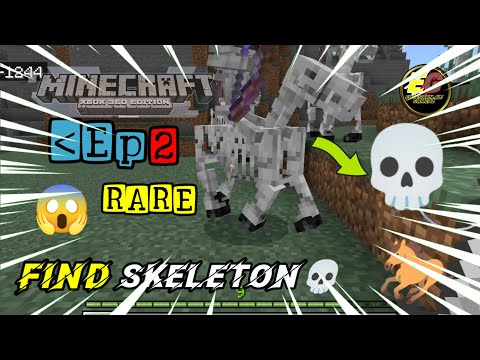 UNBELIEVABLE! I Found a Skeleton Horse in Minecraft! 😱