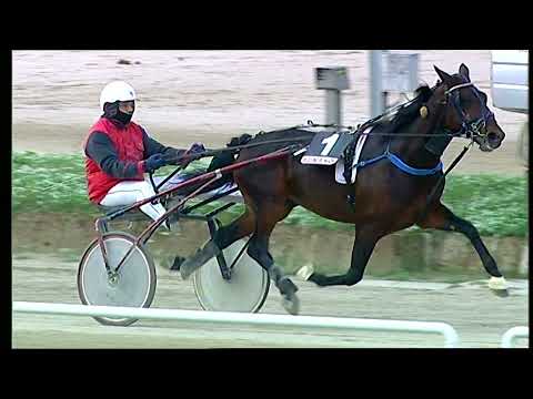 Napoli Trotto 05/11/2021 - 2ª corsa