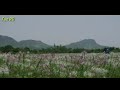 Dil Ka Rishta Bada Hi Pyara H Whatsapp Status Video