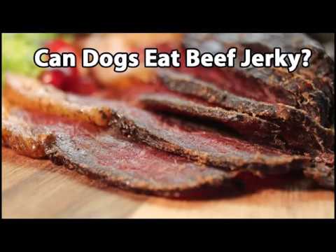 Can Dogs Eat Beef Jerky