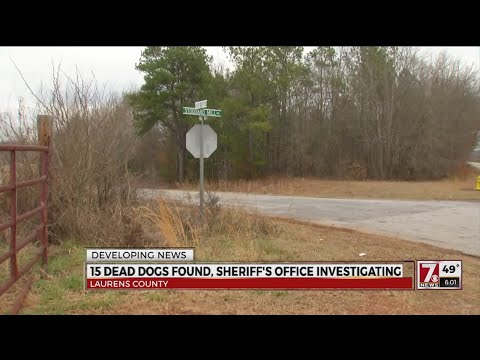 Gray Court Dog Deaths