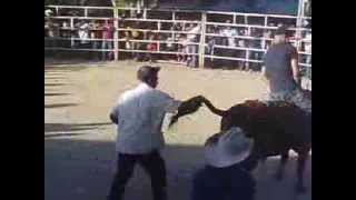 preview picture of video 'Jaripeo San Fco. Guichina, San Carlos Yautepec Oaxaca'