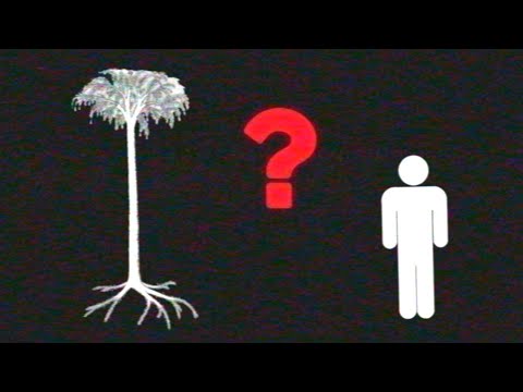 Analog horror - Have you seen this tree ?