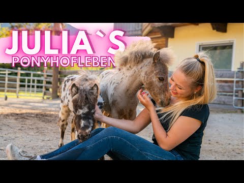 Zu Besuch bei @julia_libertyhorses und ihren FILMPFERDEN! - FMA