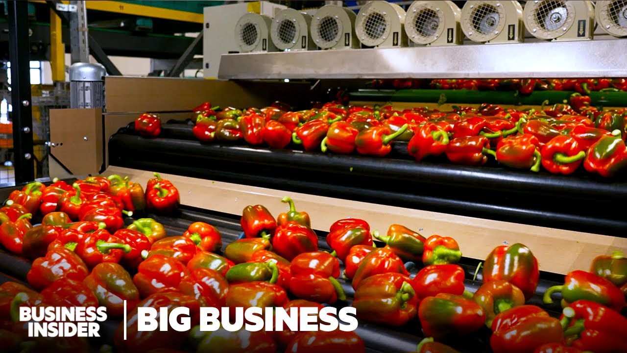 How One Tiny Country Rivals American Farming