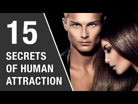image-How important is visual attraction?