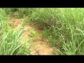Comanche Bluff Native Flute Music