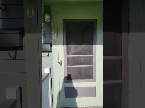 DAL100 - Video 2 of 2