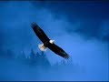 Denise LaSalle - It Be's That Way Sometimes