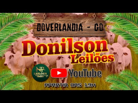DONILSON LEILÕES - DOVERLÂNDIA GOIÁS 29/07/2026