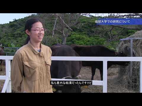【2021琉球大学案内】琉大×研究（学生）