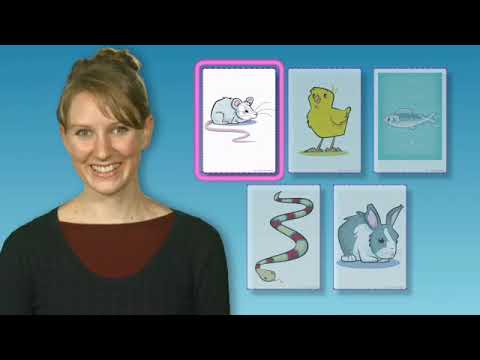 Oxford Bright Ideas 1 - Review Video 4 Part 1