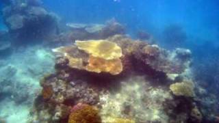 Kings of Leon - Woo Hoo