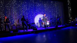 Gino Vannelli - Fly Into This Night