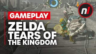Zelda: Tears of the Kingdom Gameplay