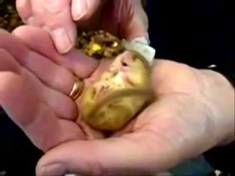 Snoring Dormouse with sound listen el ratoncito dormilon