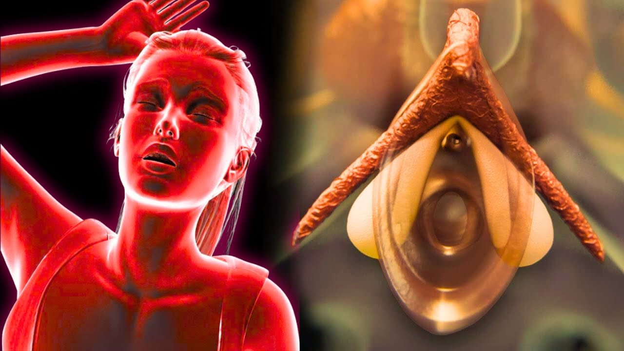 You're Touching The Wrong Place — Do This And She'll Give Itself Away